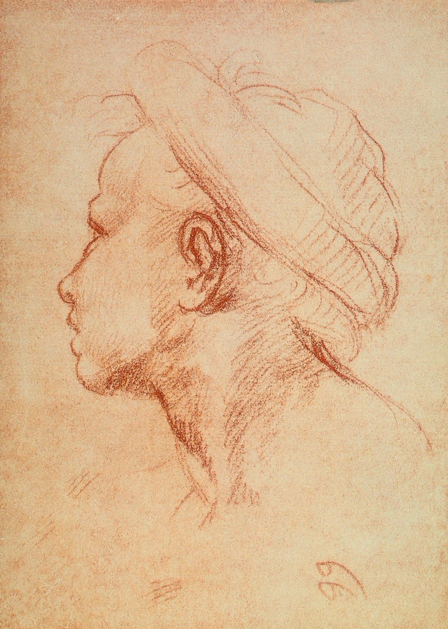 Testa di giovane in profilo da Andrea del Sarto