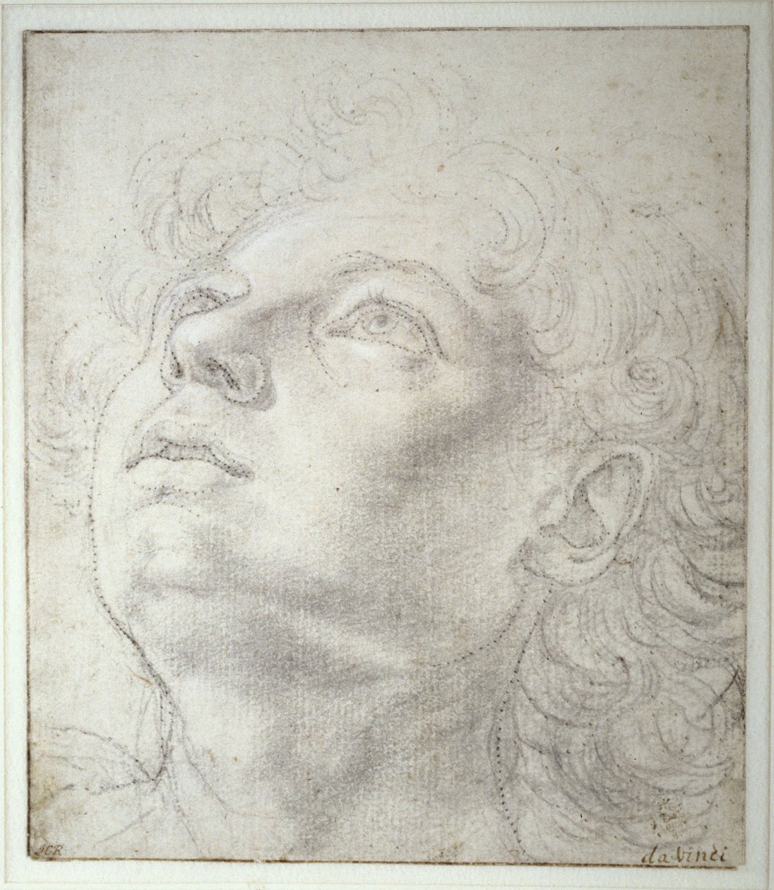 Testa d