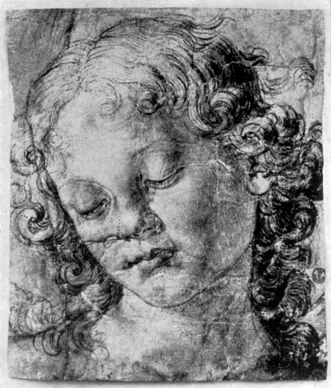 La testa di un angelo, XV secolo 1930 da Andrea del Verrocchio