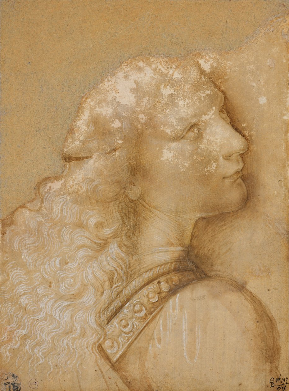 Busto di un giovane, studio per l