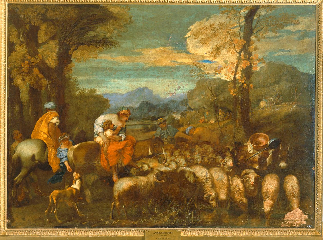 I viaggi di Jacob ... da Andrea di Leone