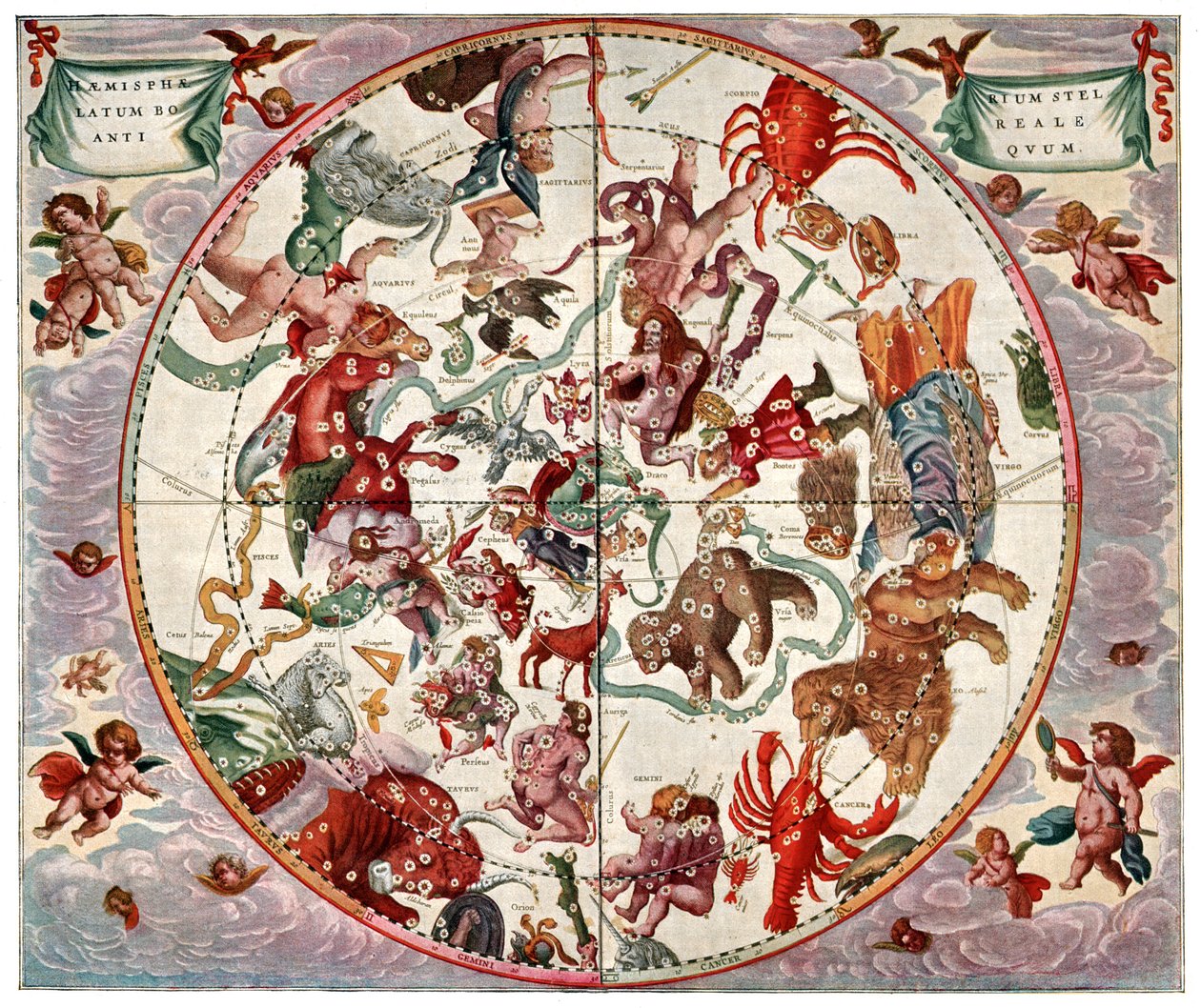Planisfero celeste: emisfero settentrionale, c1880 da Andreas (after) Cellarius