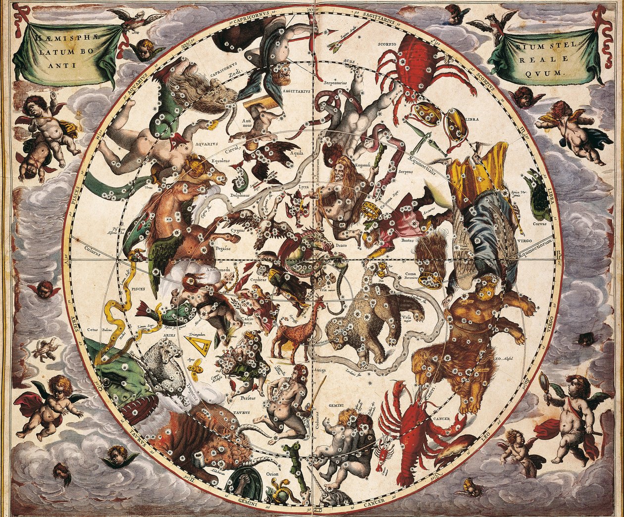 CELLARIUS, Andreas (1596-1665). Atlas Coelestis seu Harmonia Macrocosmica. 1661. Fol 24. Hemisphaerium stellatum boreale antiquum. Rappresentazione dell