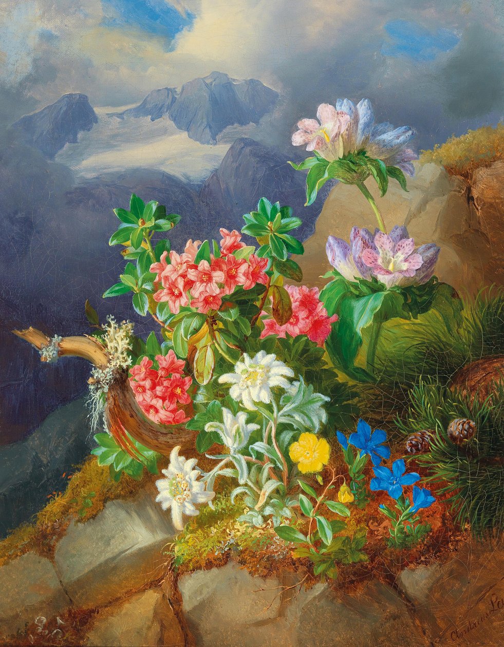 Fiori alpini da Andreas Lach