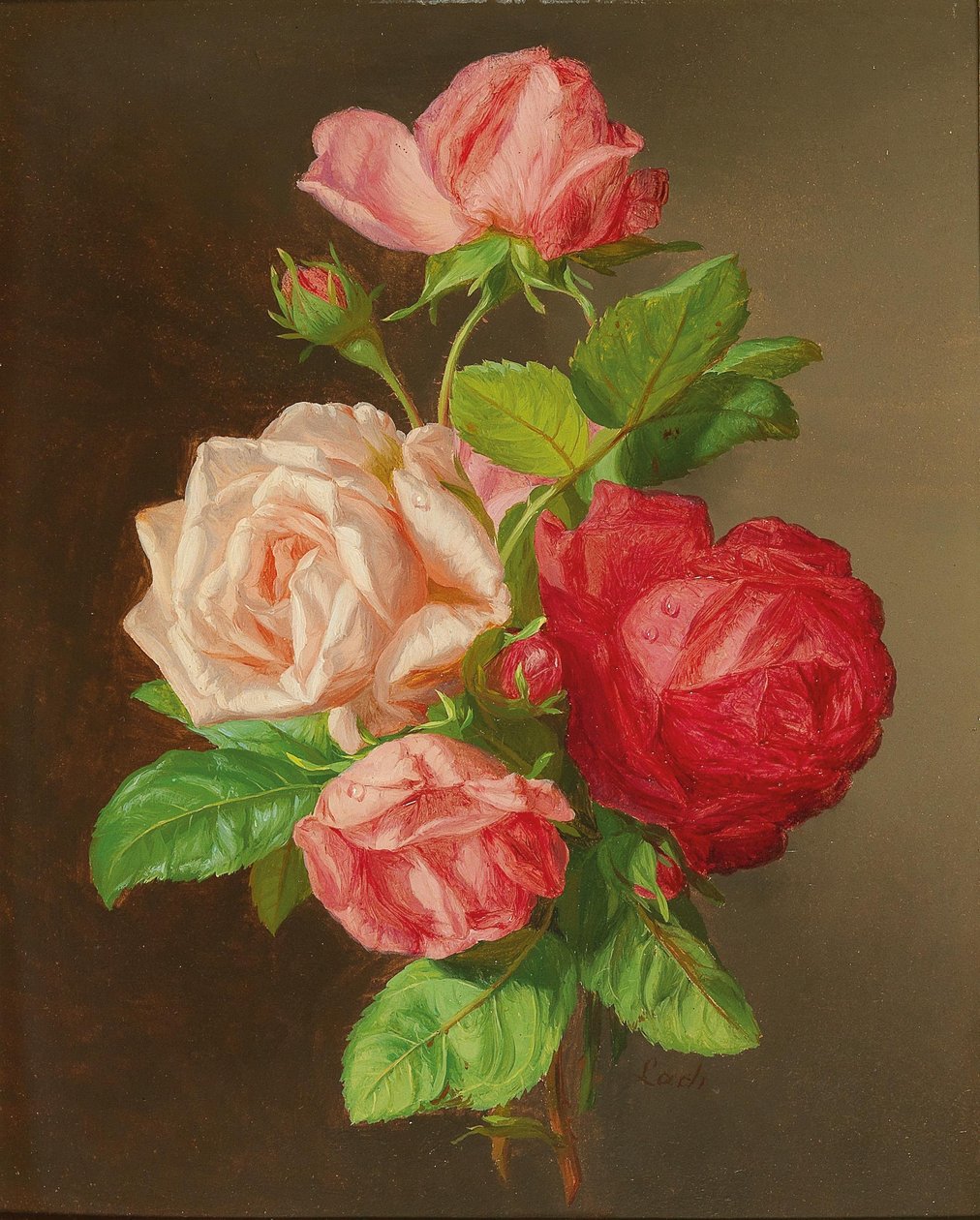 Le rose da Andreas Lach