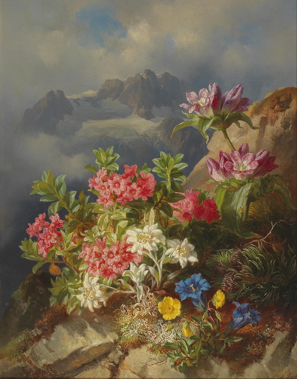 Natura morta con fiori alpini da Andreas Lach