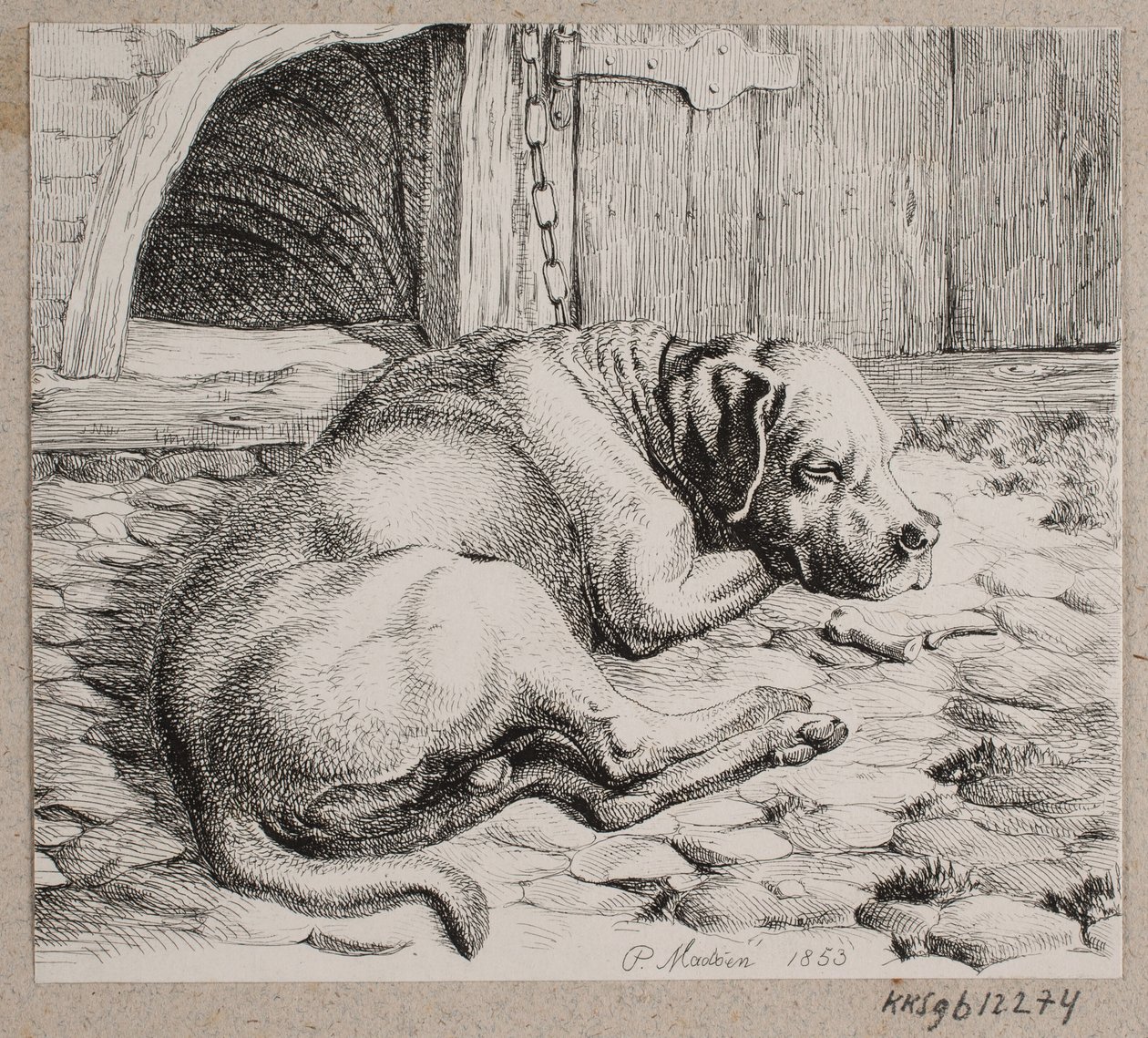 Un cane incatenato che dorme da Andreas Peter Madsen