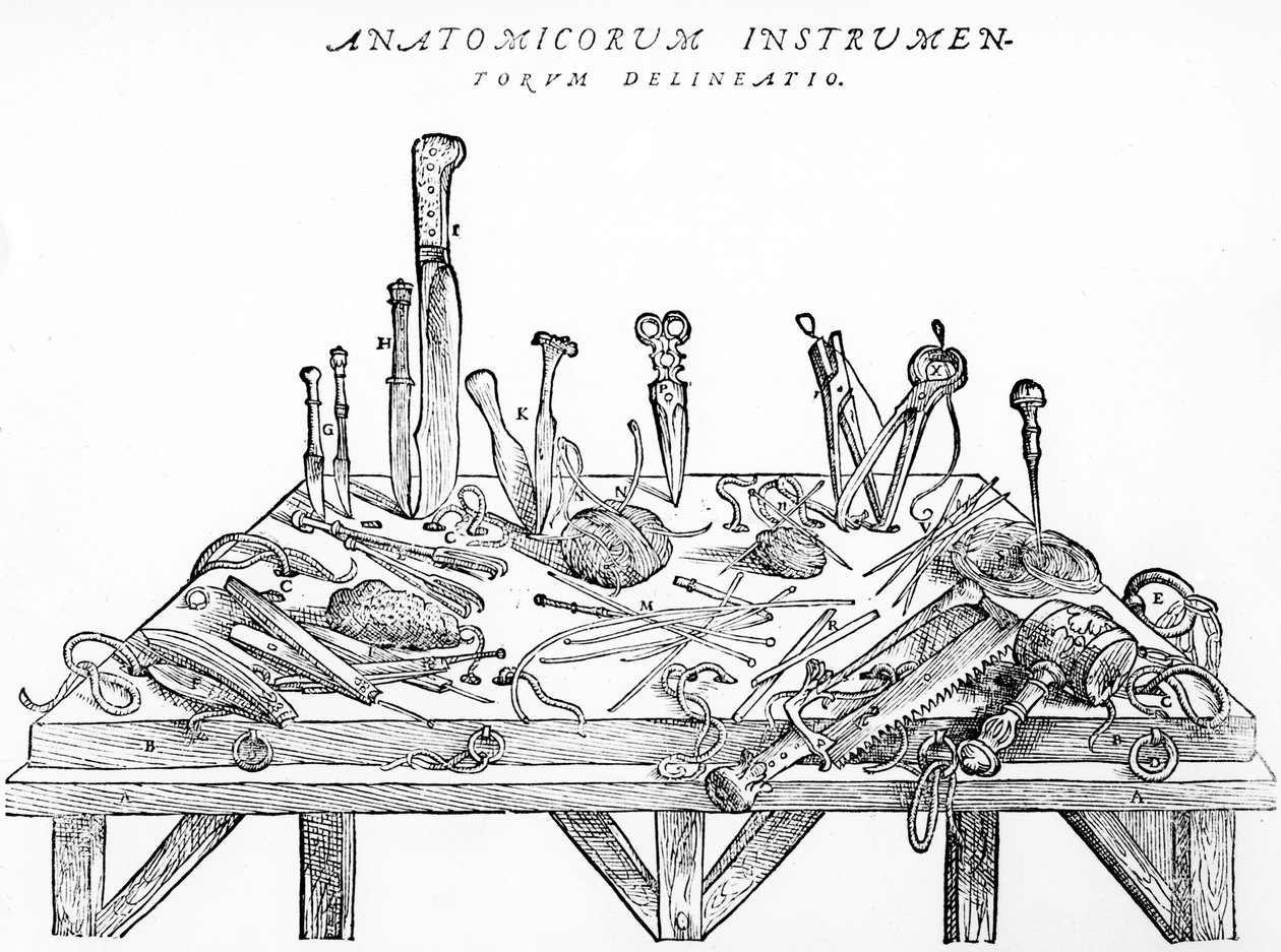 Strumenti per dissezioni, illustrazione da 