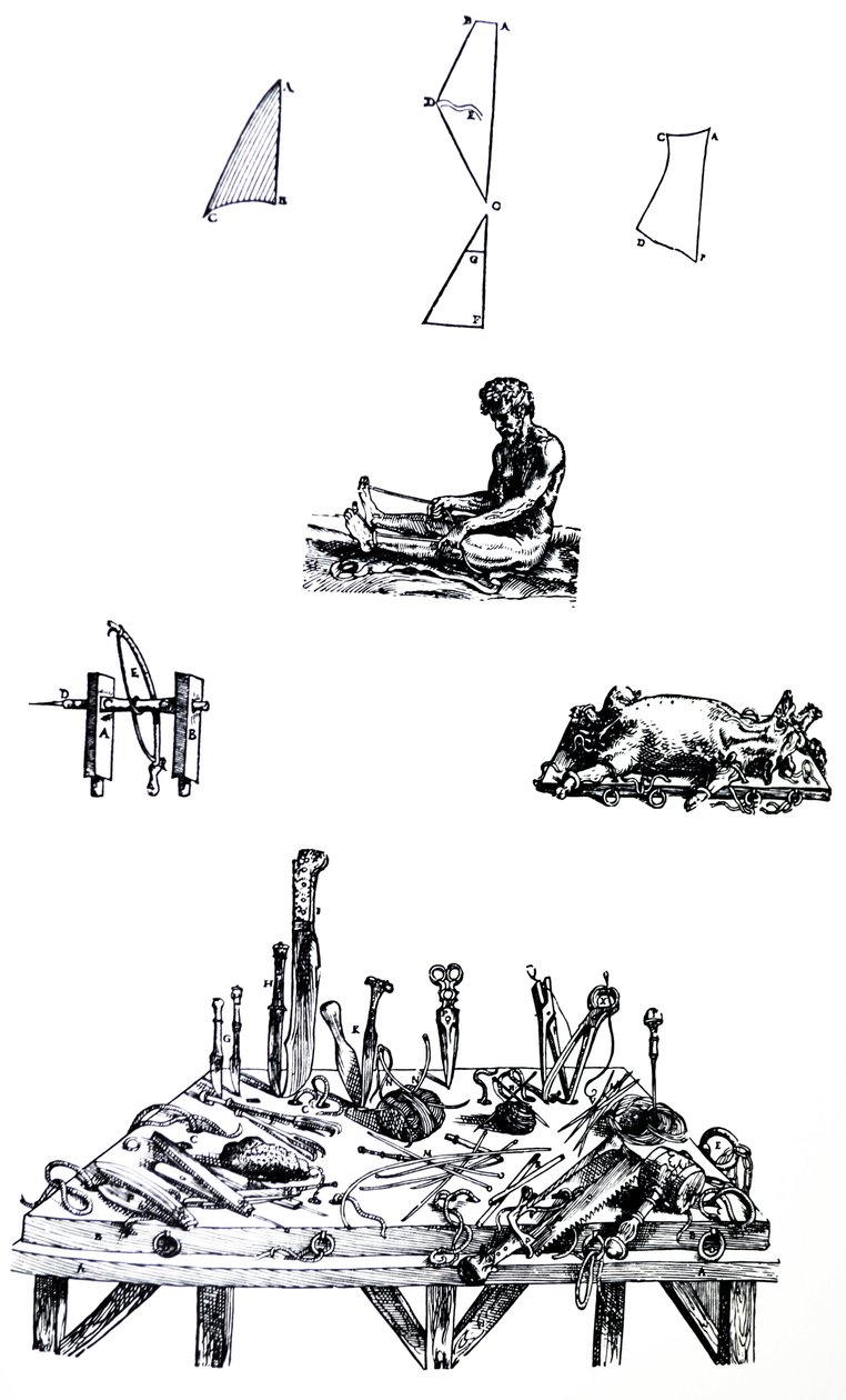 Le tavole dal secondo libro del De Humani Corporis Fabrica da Andreas Vesalius