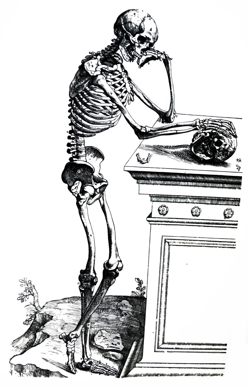 Le tavole dal settimo libro del De Humani Corporis Fabrica da Andreas Vesalius