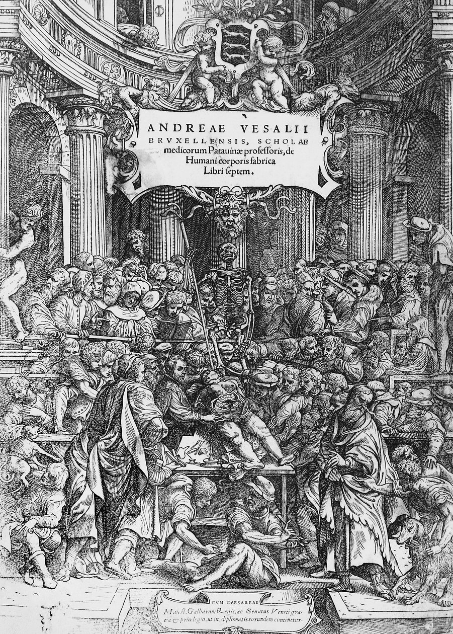 Pagina del titolo di De humani corporis fabrica, dove Andreas Vesalius è raffigurato mentre disseziona un cadavere da Andreas Vesalius