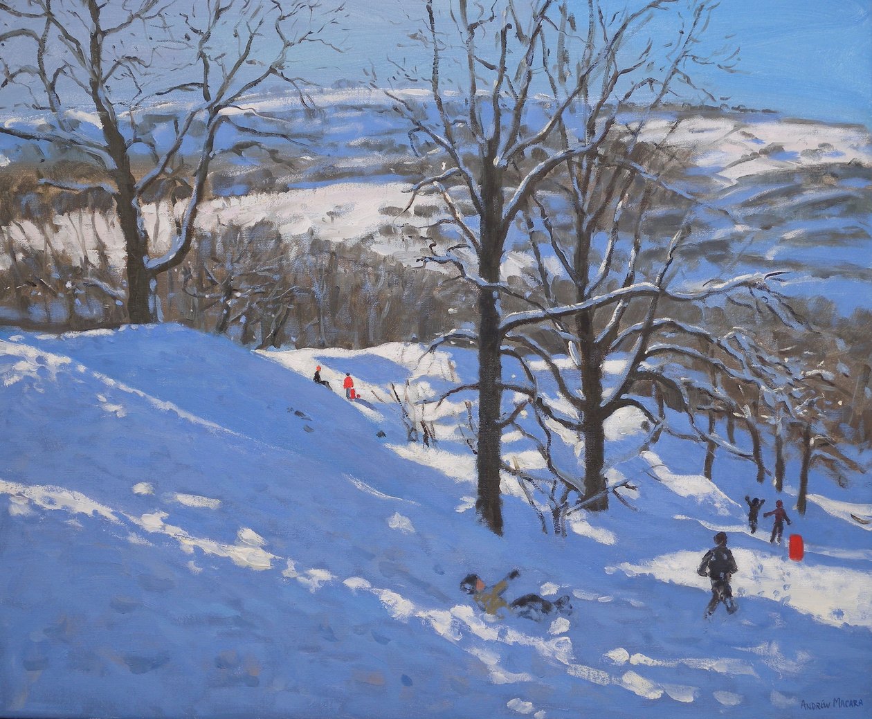 Rocce nere, Derbyshire, 2009 da Andrew Macara