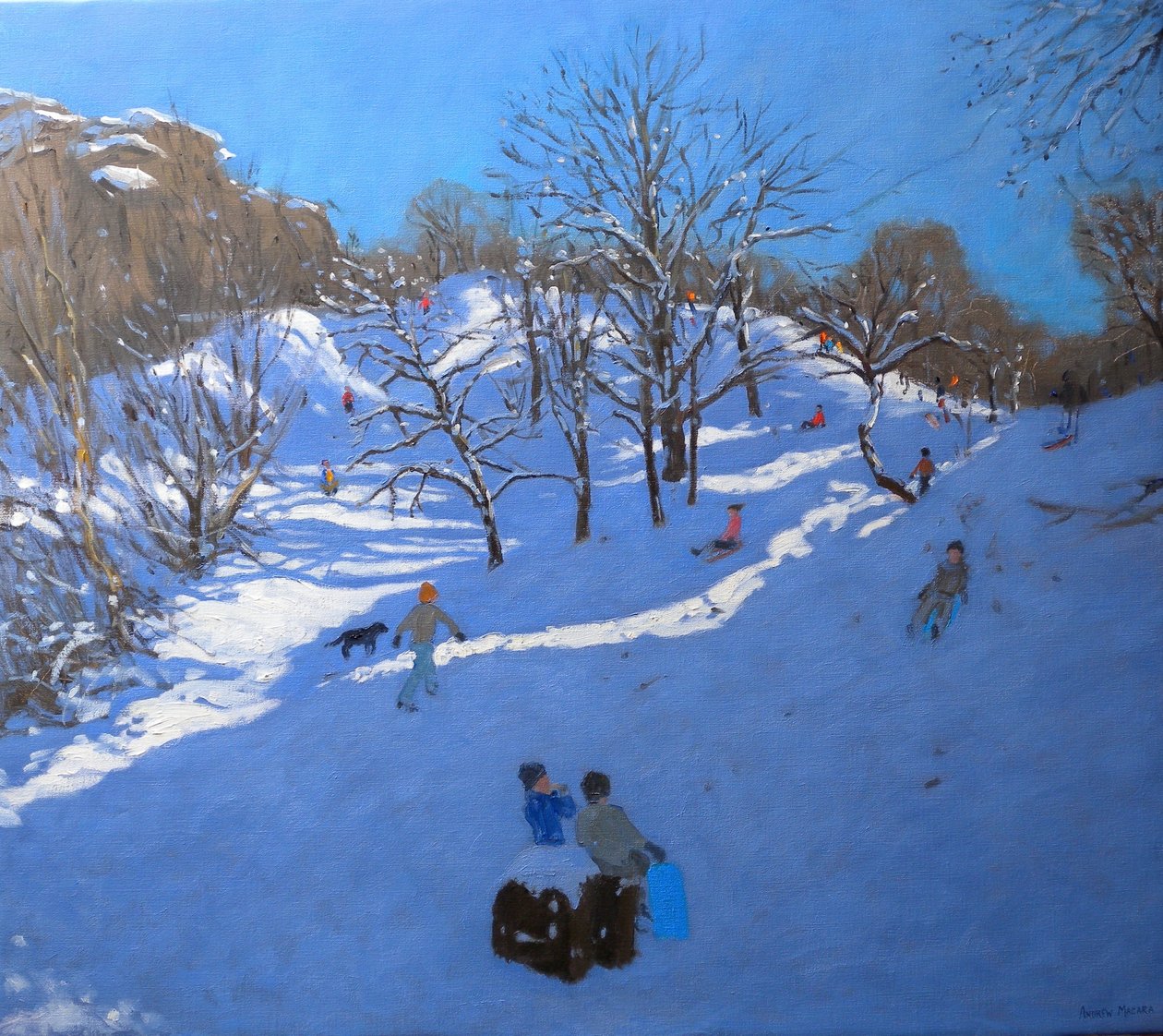 Mattina luminosa a Black Rocks, Derbyshire, 2009 da Andrew Macara