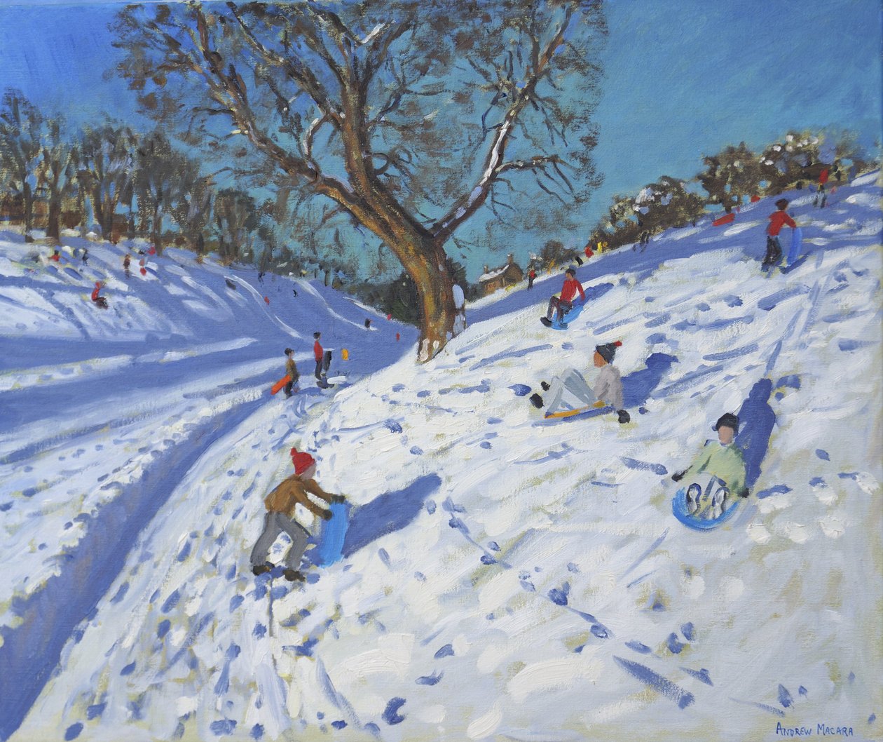 Mattina luminosa, Chatsworth, 2013 da Andrew Macara