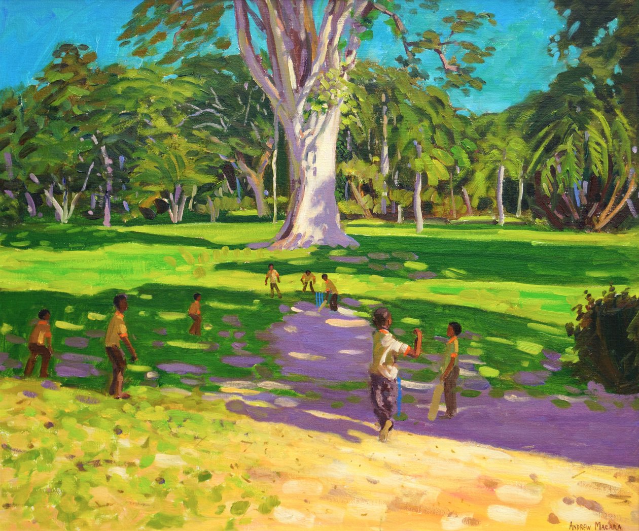 Partita di cricket, Giardini Botanici, Dominica, Grenadine, 2011 da Andrew Macara