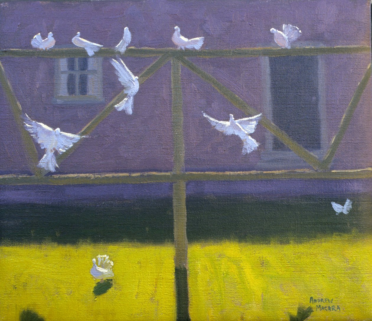 Colombe, 1999 da Andrew Macara