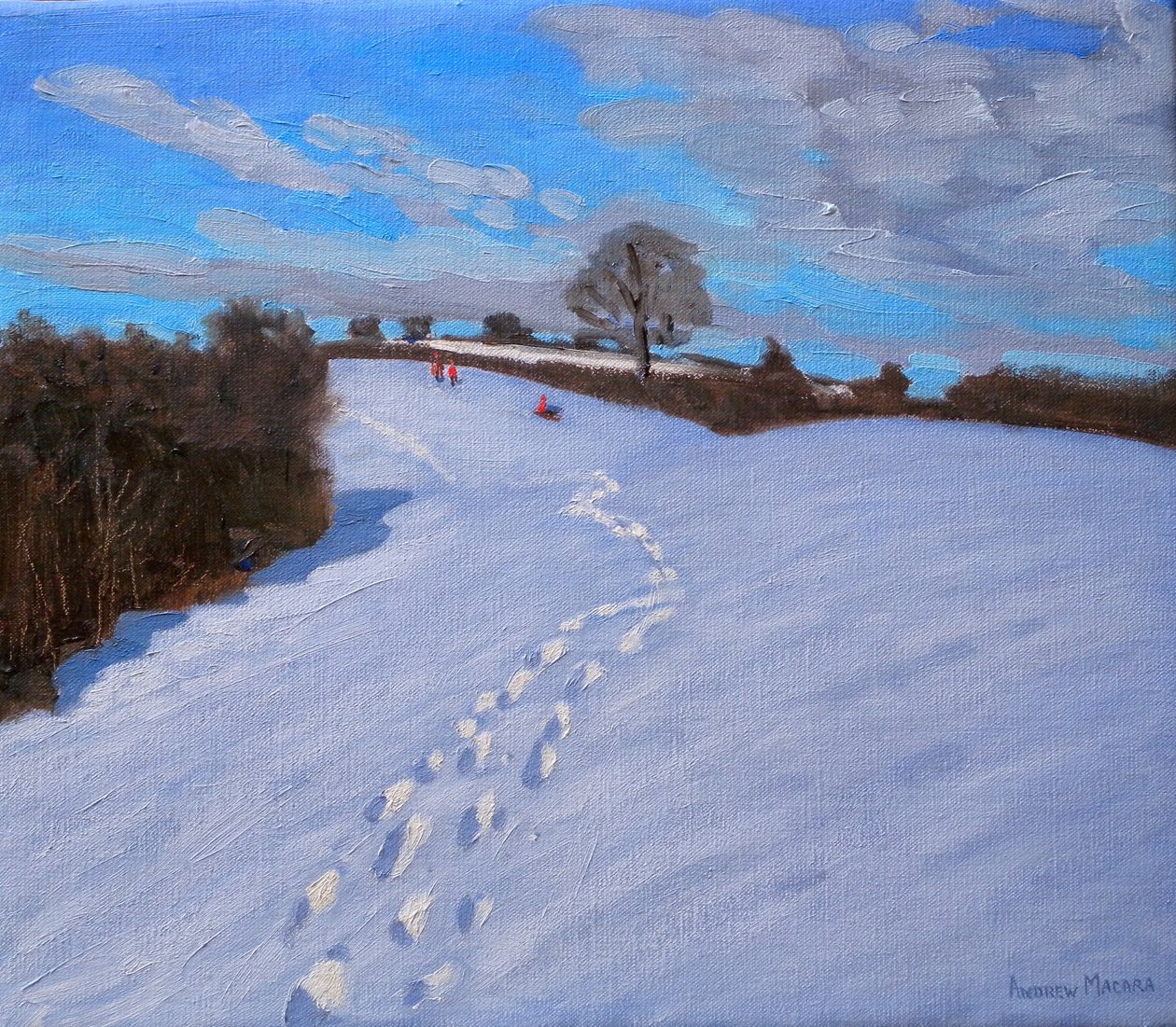 Impronte nella neve, 2009 da Andrew Macara