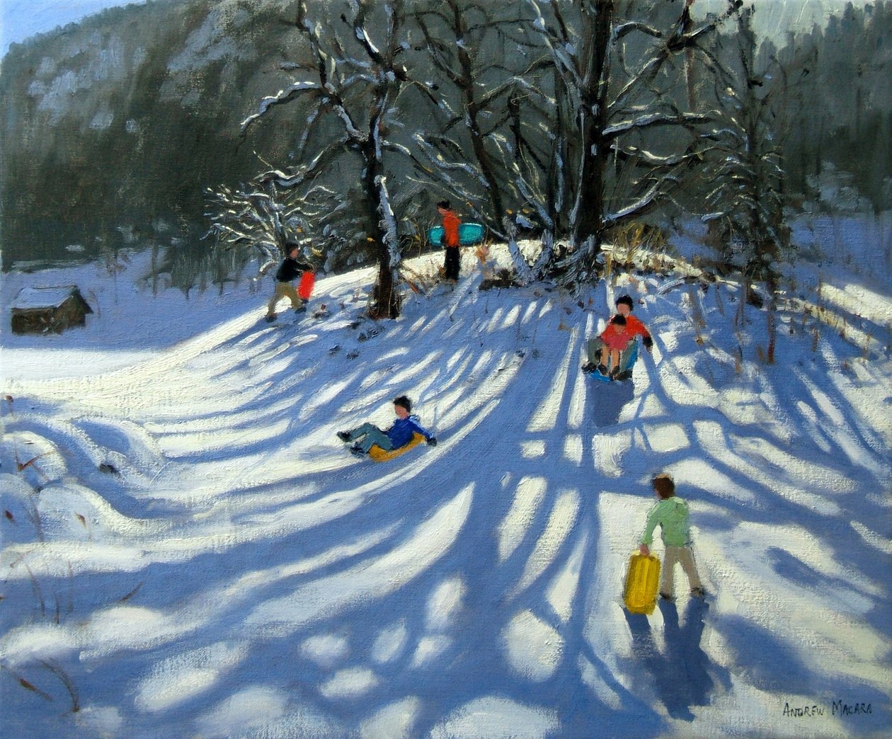 Divertimento sulla neve, Morzine, Francia da Andrew Macara