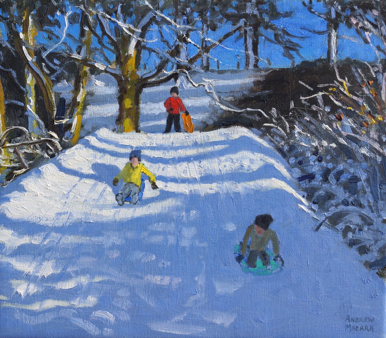 Divertimento nella neve, Wash Green, Derbyshire, 2014 da Andrew Macara