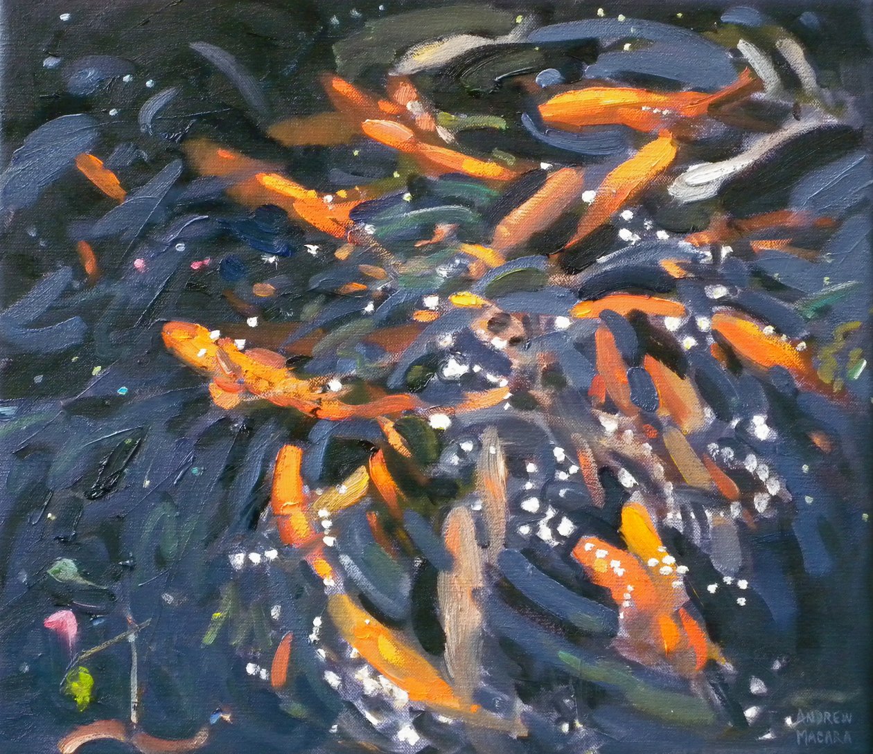 Pesci rossi, 2010 da Andrew Macara