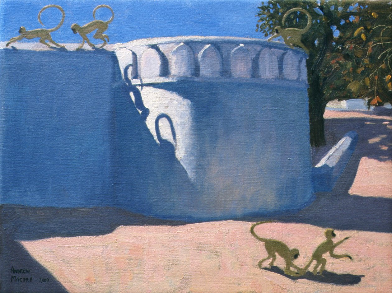 Tempio delle scimmie, India, 2000 da Andrew Macara