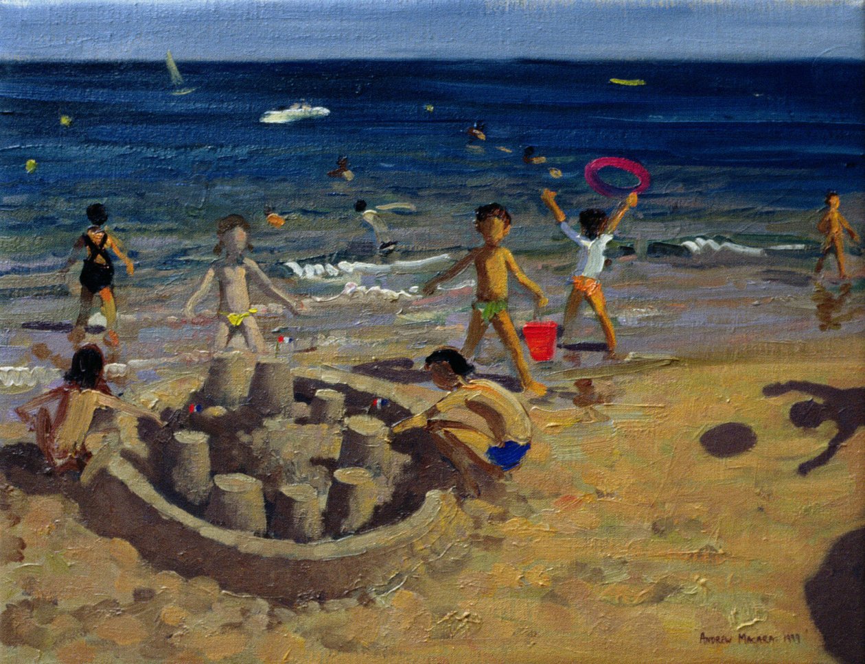 Castello di sabbia, Francia da Andrew Macara