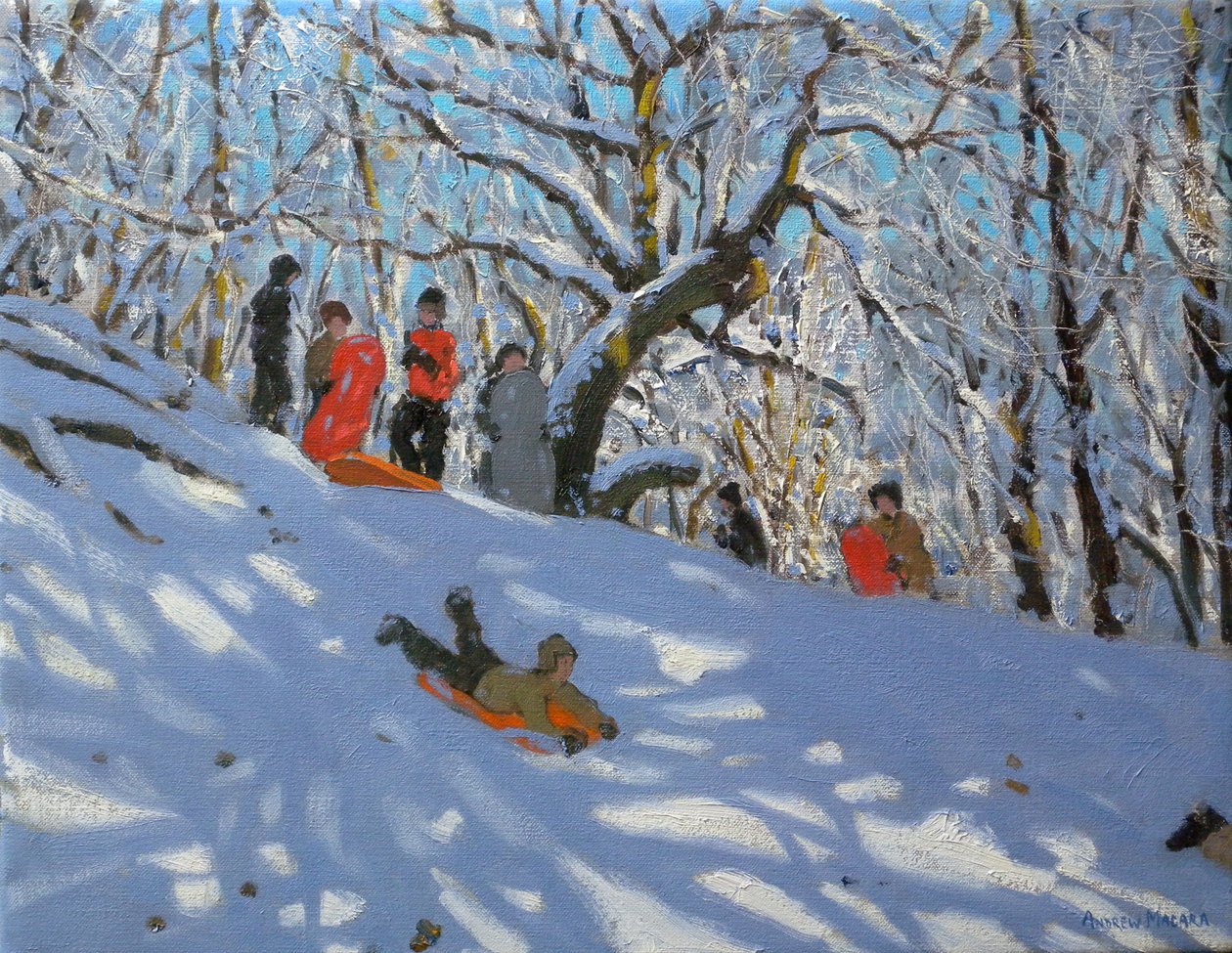 Slittino nei boschi di Allestree, 2011 da Andrew Macara