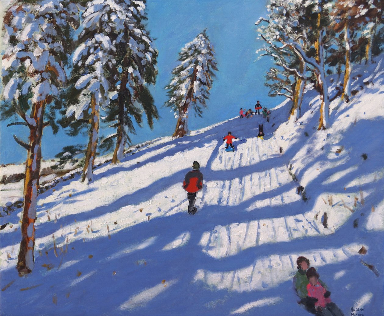 Slittino, Hillside, Glossop, 2015 da Andrew Macara