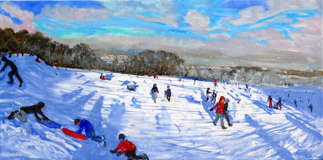 Neve, Allestree Park, Derby da Andrew Macara
