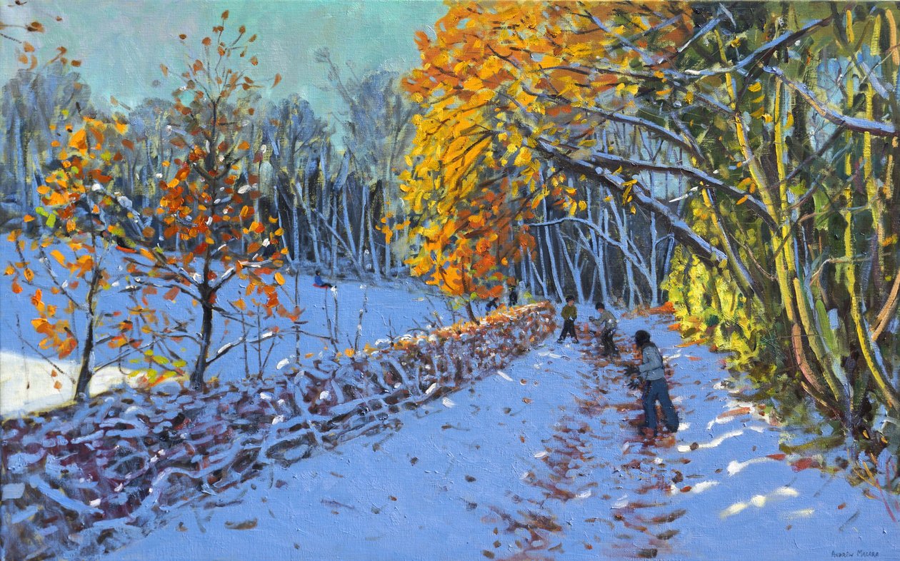 Guerra di palle di neve, Allestree Park, Derby da Andrew Macara