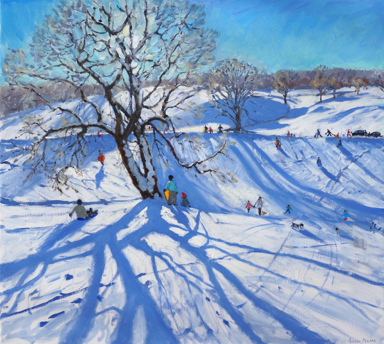Slittinisti, Chatsworth, 2012 da Andrew Macara