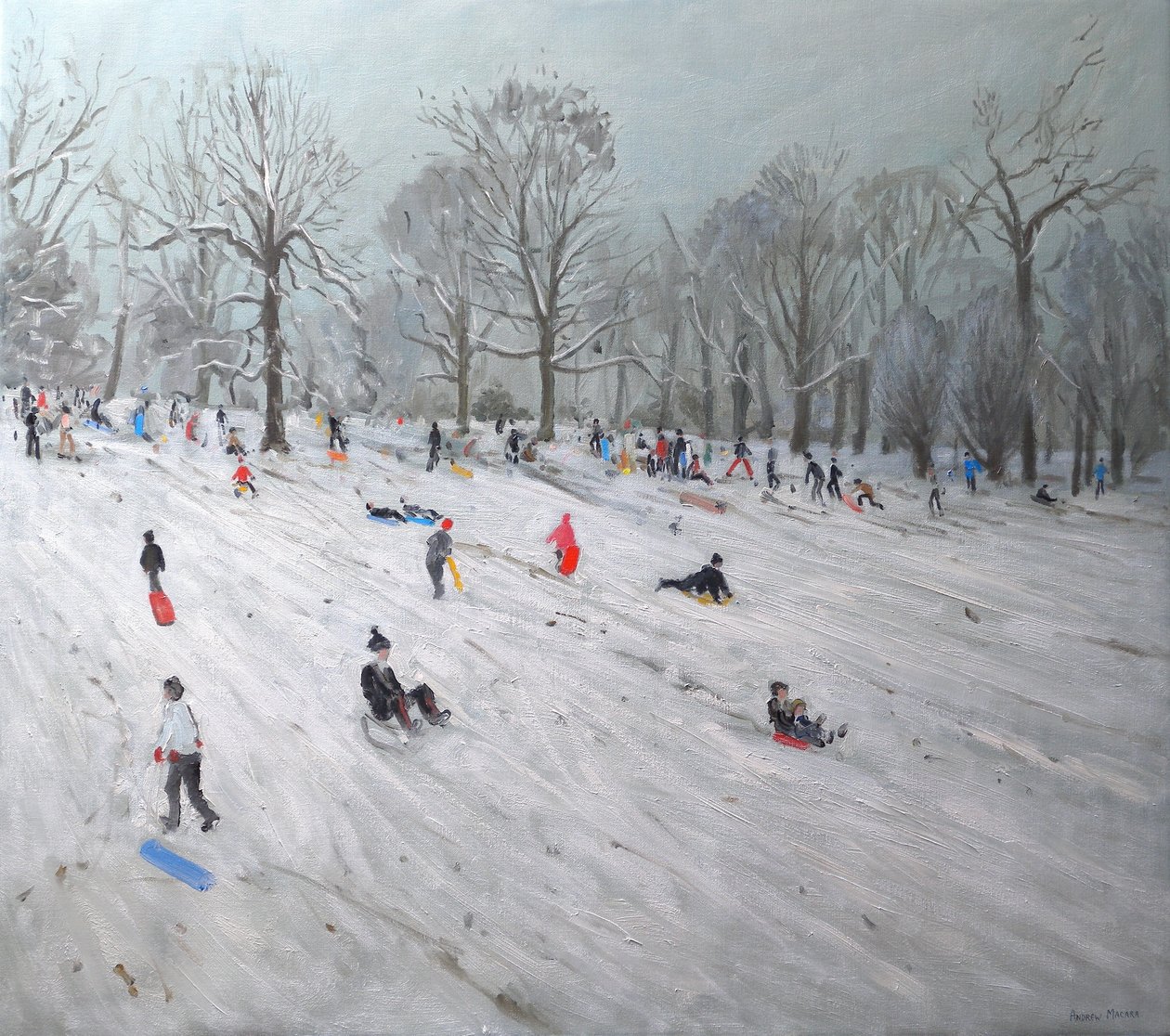 Slittinisti, Darley Park, 2009 da Andrew Macara