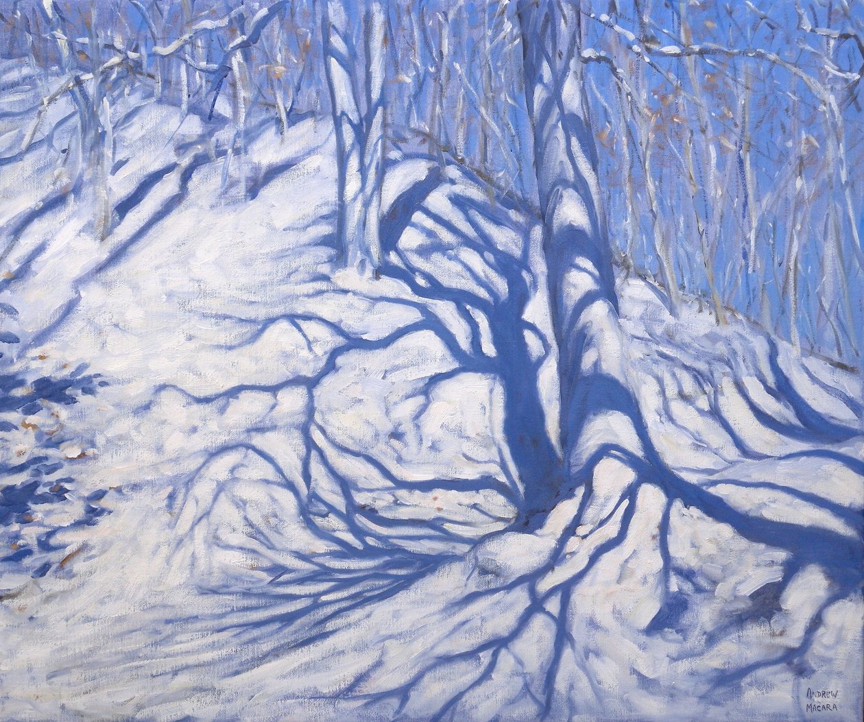 Bosco invernale, vicino a Courcheval, 2008 da Andrew Macara