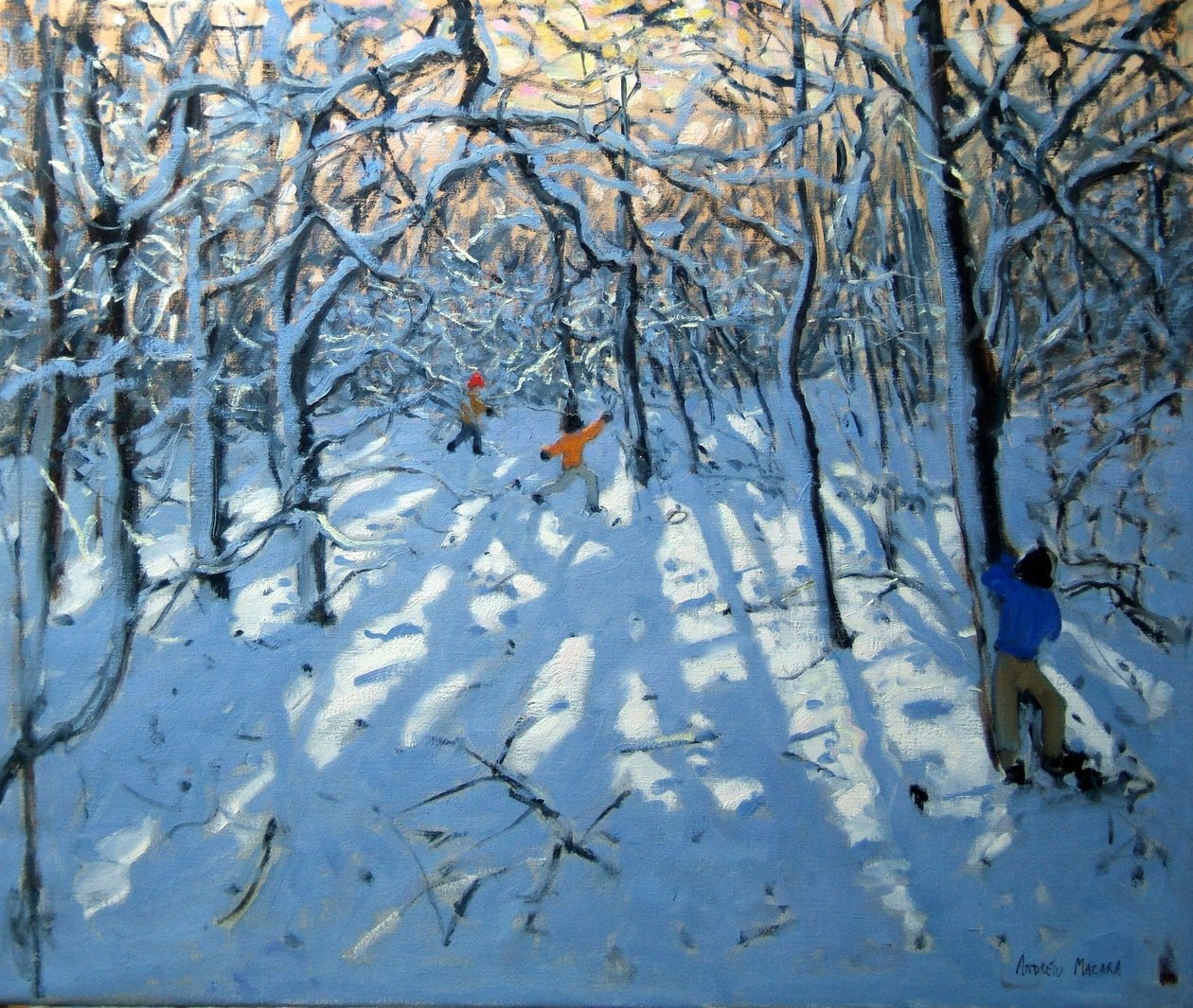 Bosco invernale, vicino a Newhaven, Derbyshire da Andrew Macara