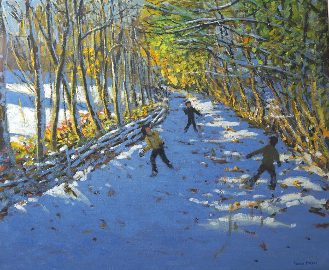 Alberi gialli, Allestree Park, 2012 da Andrew Macara