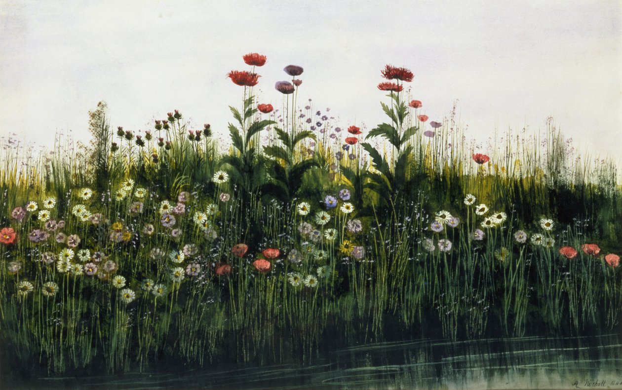 Papaveri, Margherite e Cardo su una riva del fiume da Andrew Nicholl