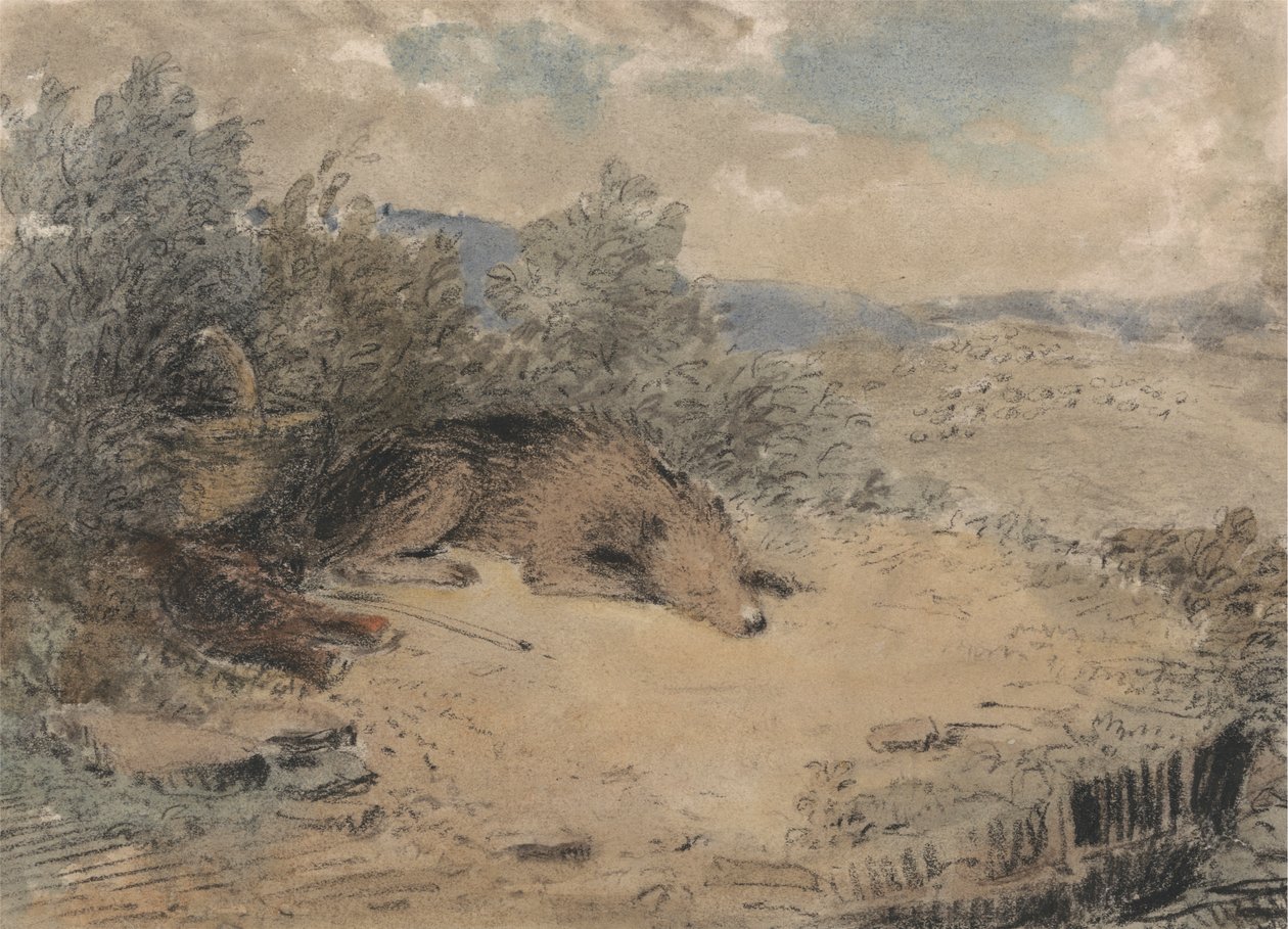 Cane da Pastore Addormentato in un Paesaggio da Andrew Geddes