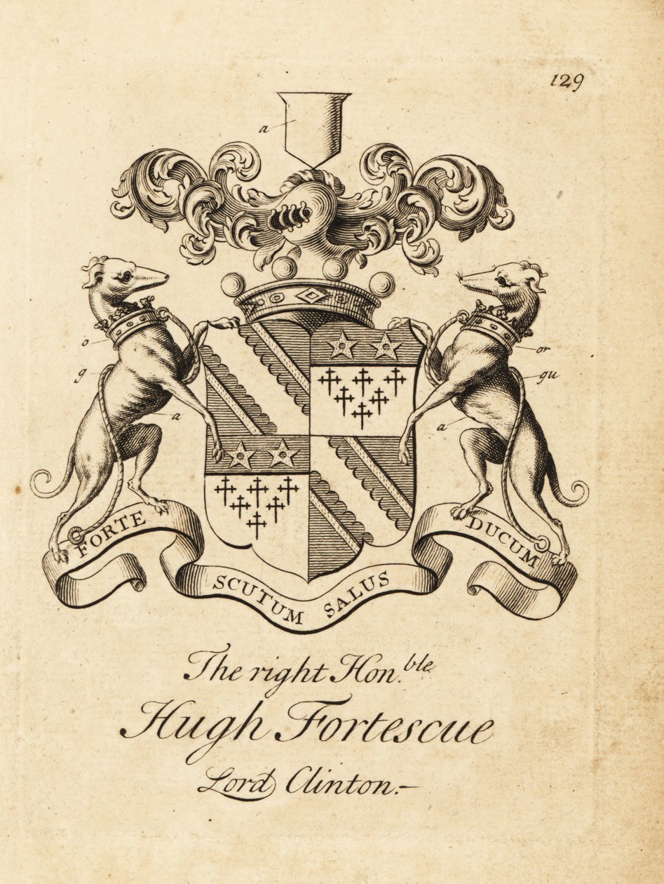 Stemma del Onorevole Hugh Fortescue da Andrew Johnston
