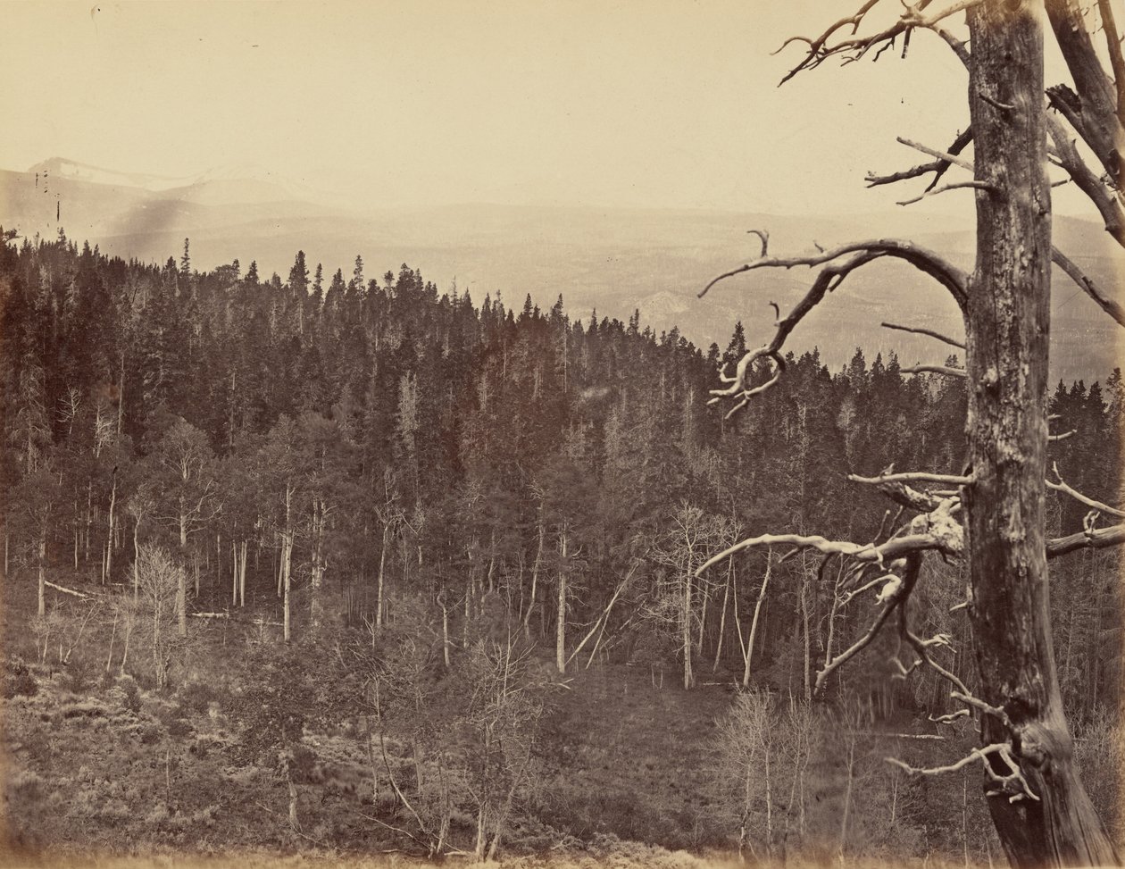 Piastra 13. Linea della neve e del legname, Monti Laramie, 1869 (foto) da Andrew Joseph Russell