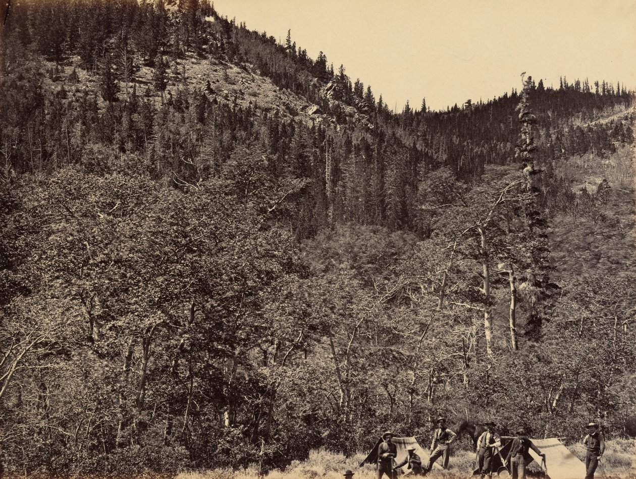 Piastra 19. Tra i legni alla testa del fiume Little Laramie, 1869 (foto) da Andrew Joseph Russell