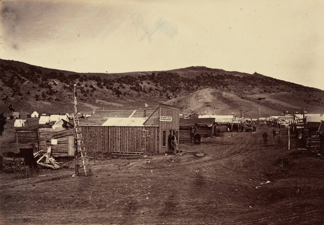 Piastra 29. Città di Bear River, vicino ai campi di carbone, 1869 (foto) da Andrew Joseph Russell
