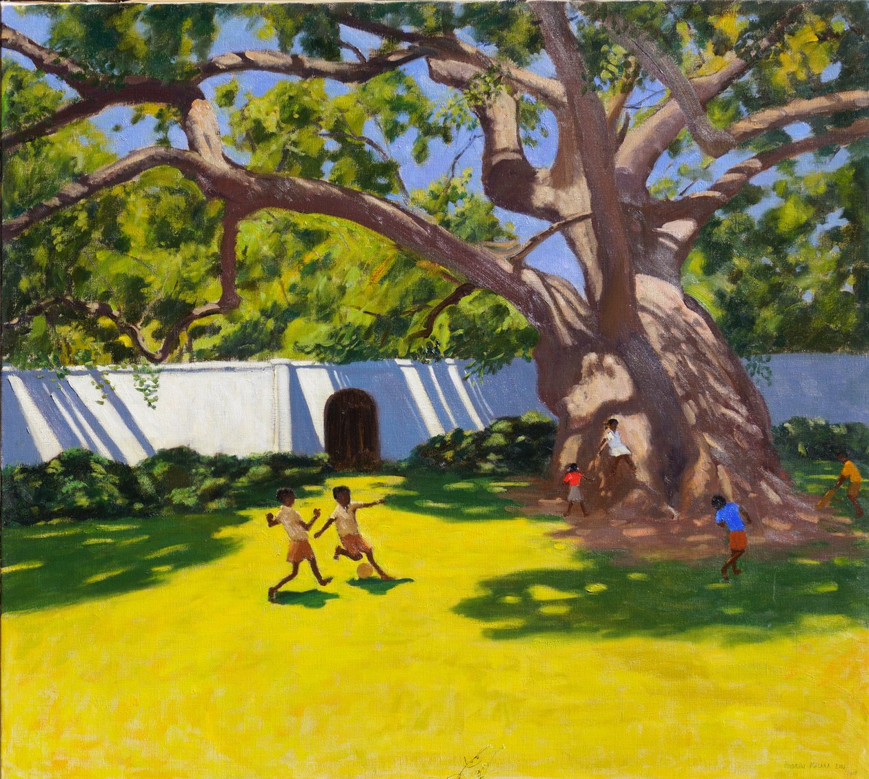 Antico albero di camphora, Vergelegen Estate, Sudafrica da Andrew Macara