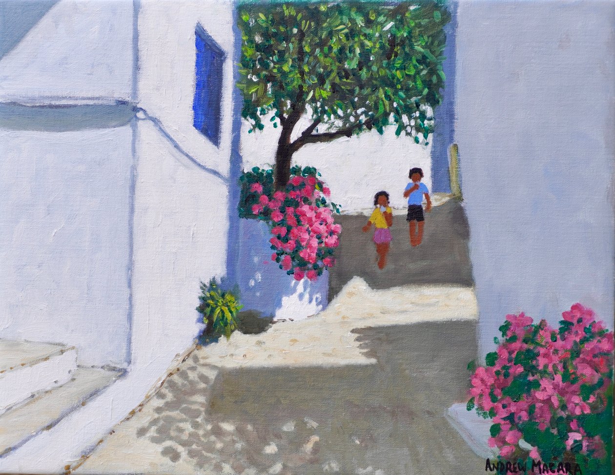 Bougainvillea, Skiathos, 2024 (olio su tela) da Andrew Macara