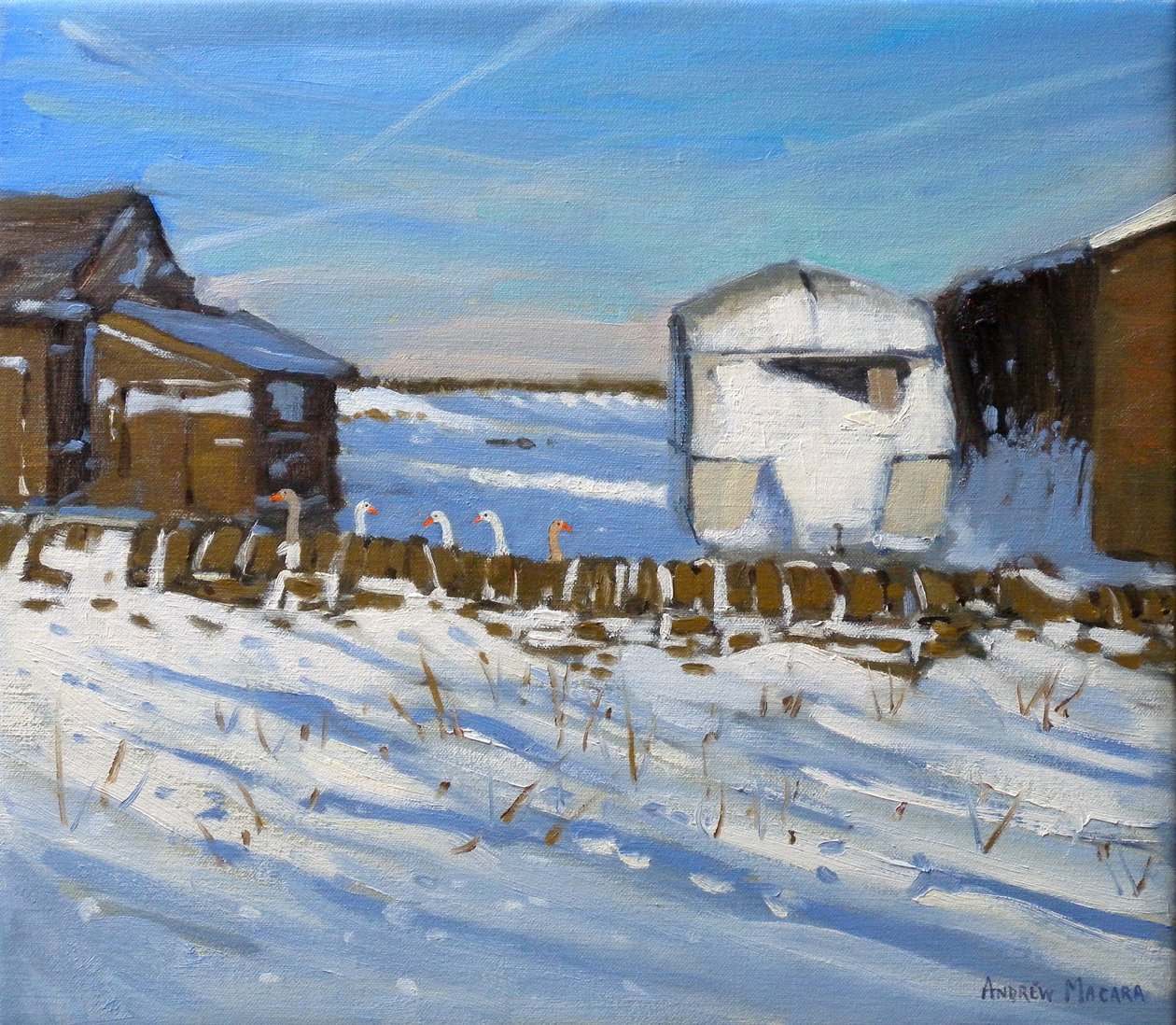 Carovana e Oche, Derbyshire, 2011 da Andrew Macara