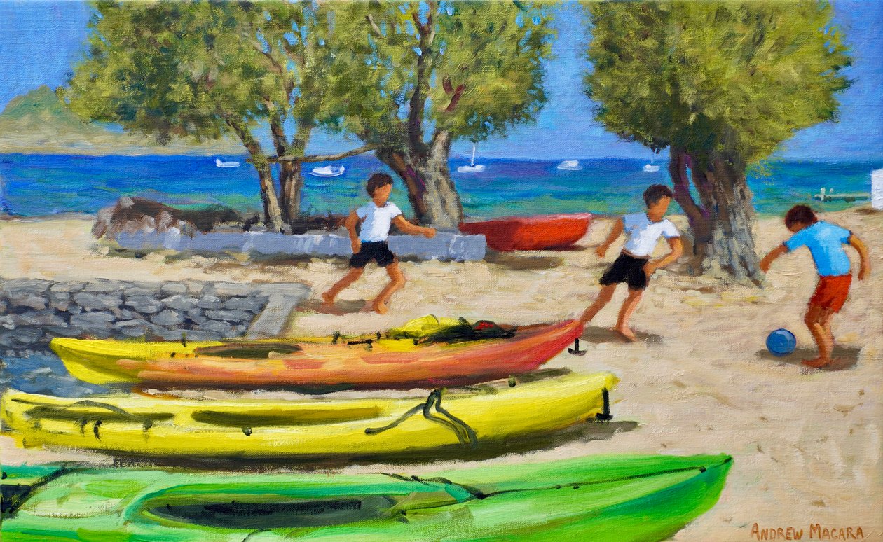 Canoe colorate, 2025 (olio su tela) da Andrew Macara