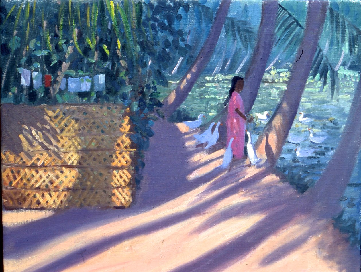 Nutrire le anatre, Kerala, India (olio su tela) da Andrew Macara