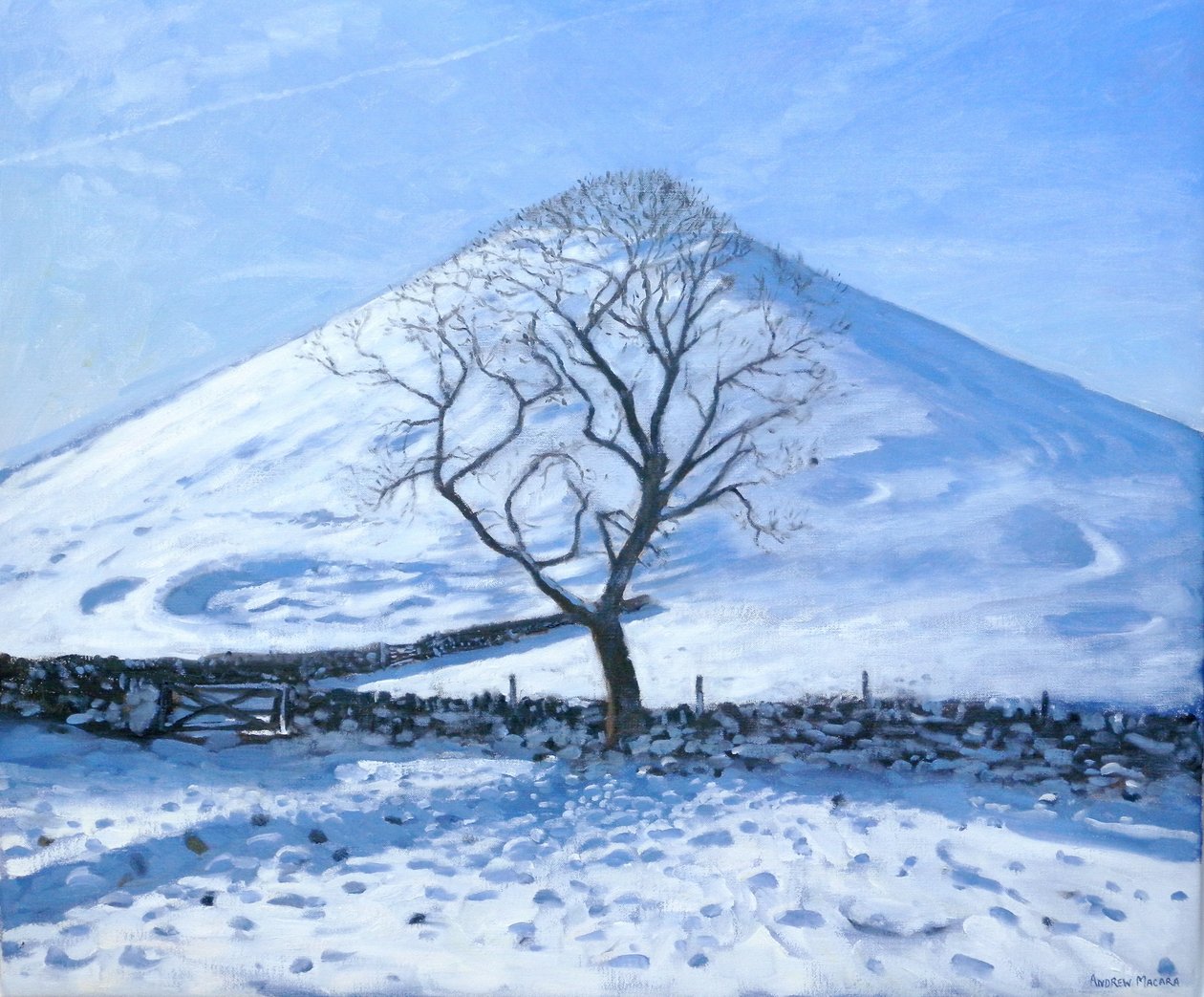 Collina e albero, Derbyshire, 2008 da Andrew Macara