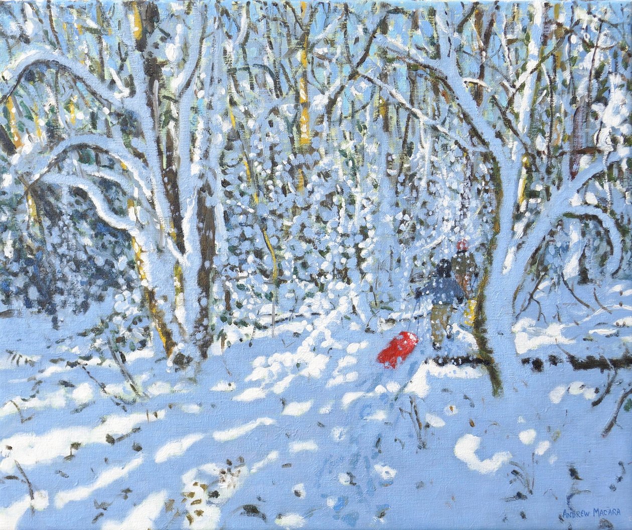 Slitta rossa, Allestree Park, Derby, 2022 da Andrew Macara