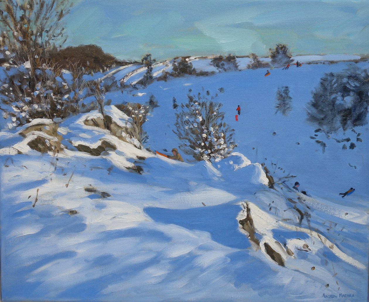 Slittatori, Derbyshire, 2011 da Andrew Macara