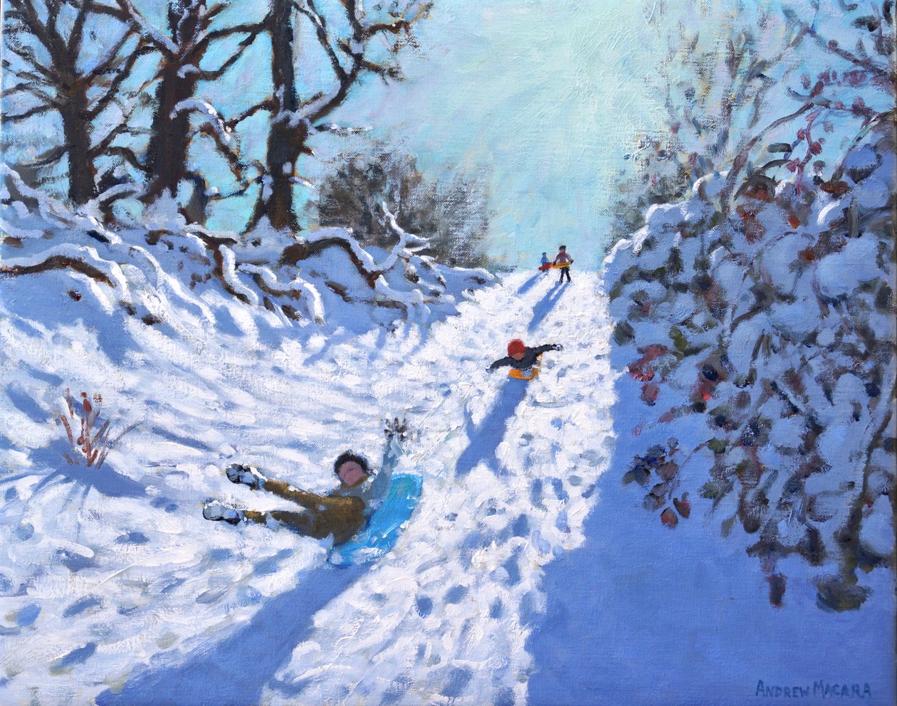 Slittino, Calke Abbey, Ticknall, Derby da Andrew Macara